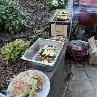 Backyard BBQ Bliss