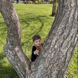 Hide and Seek in the Park