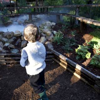 Exploring Thistlewyck's Hidden Oasis