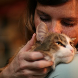 Tender Moment: Woman Nuzzles Fluffy Kitten Close
