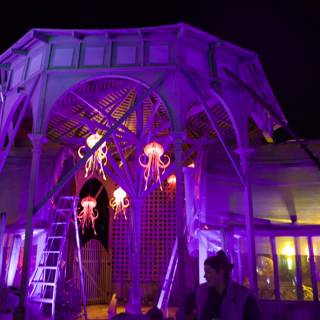 Enchanted Luminescence at Ruth Bancroft Garden