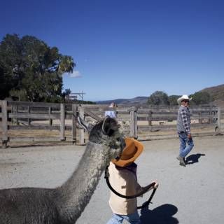 Llama Adventures in the Valley