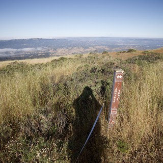 Juniper Trail Marker Atop Mount Diablo's Golden Slopes