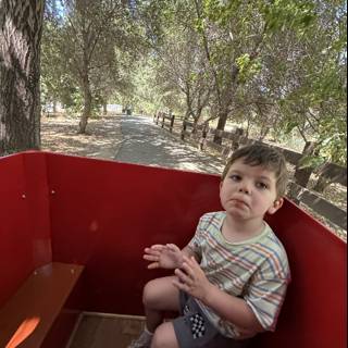 A Moment in the Grove