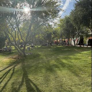Sunlit Serenity at Empire Polo Club