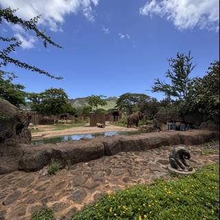 Serenity and Splendor: Elephants at the Honolulu Zoo