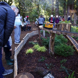 Botanical garden or public park with garden railway