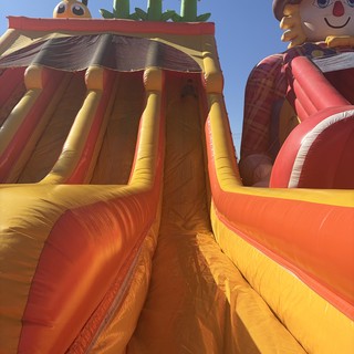 Towering Inflatable Slide at Outdoor Event