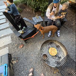 Morning Moments in Guerneville