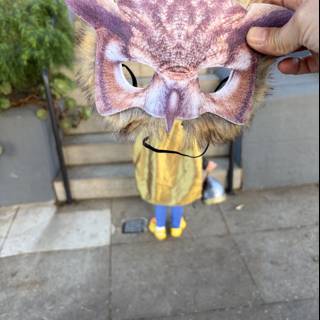 Masked Wonder