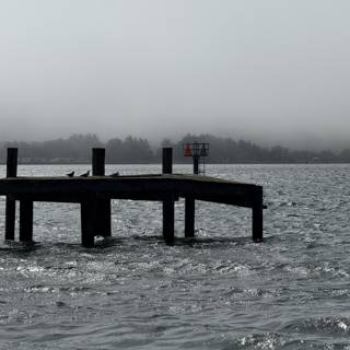 Serene September by the Bay