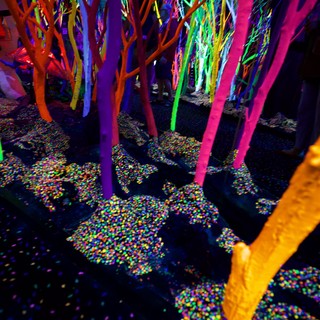 Neon Forest Installation with Colorful Confetti Floor