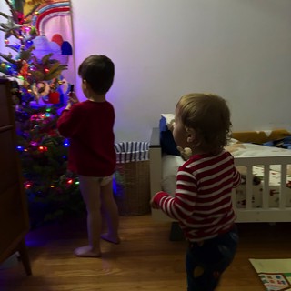 Children Decorating Christmas Tree in Evening Light