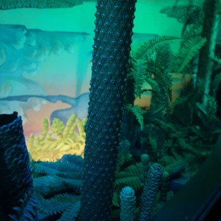 Otherworldly Forest Scene Through Textured Glass Portal