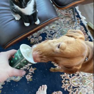 Furry Friends and Their Curious Cup