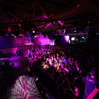 Massive Crowd Ignites Under Purple Lights at Wobbleland