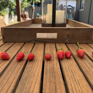 A Taste of September