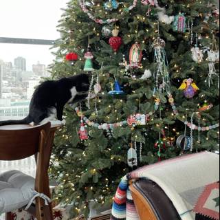 Christmas Cat by the Tree
