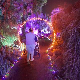Enchanted Stroll Through Illuminated Nature