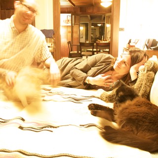 pet-lovers