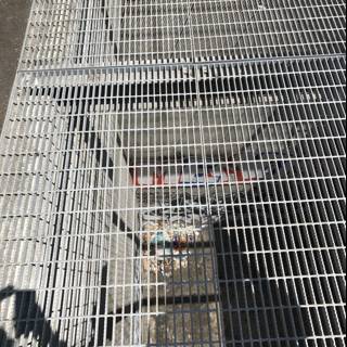Imprisoned on the Grate