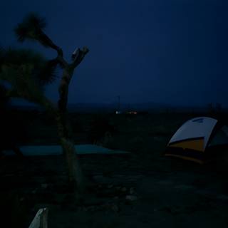 Desert Nights: Camping under the Stars