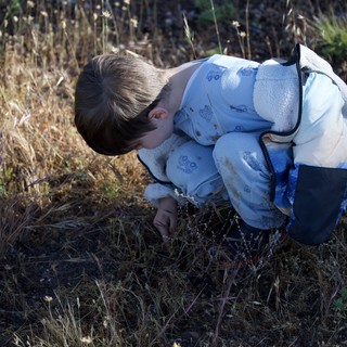 Young Explorer Discovers Nature's Tiny Wonders