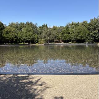 Tranquility at Apple Park