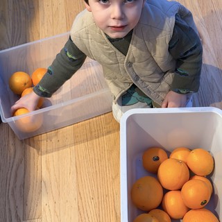 Young Boy Sorting Oranges into Storage Containers