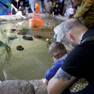 Curiosity Underwater: Man with Child at The Aquarium