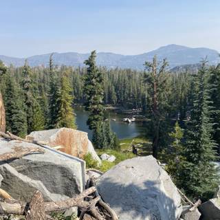 Serene Lake and Majestic Trees in Desolation Wilderness