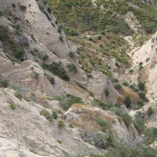 Panoramic View of Canyon from Mountain Top