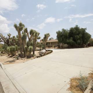 Driveway Path with Desert Scenery