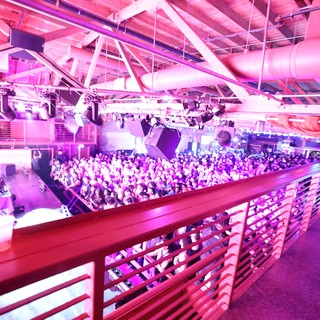 Massive Crowd Packed Under Pink Lights at Wobbleland