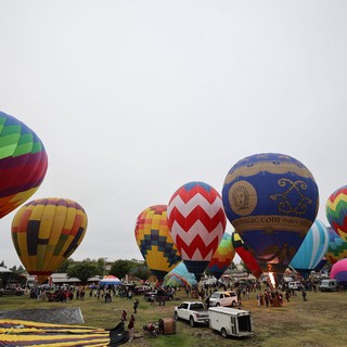 Colorful Hot Air Balloons Fill the Morning Sky