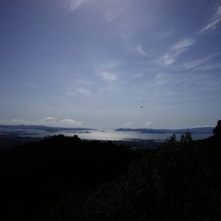 Soaring Kite Over Berkeley Skies