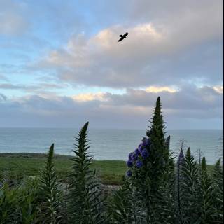 Bird's Eye View of a Coastal Summer Landscape
