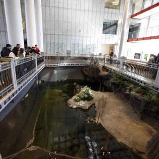 Indoor Museum Exhibit with Circular Pool and Rock Formation