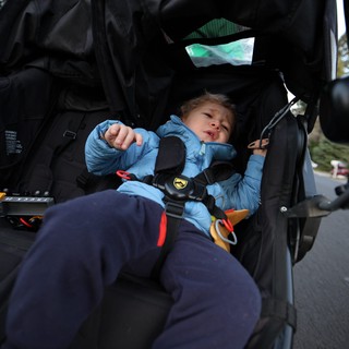 Toddler Points From Stroller on Sunday Walk