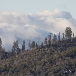 Smoke Rising Over Mountain Forest After Wildfire
