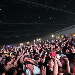 Massive Crowd Surges at Wobbleland 2026 Festival