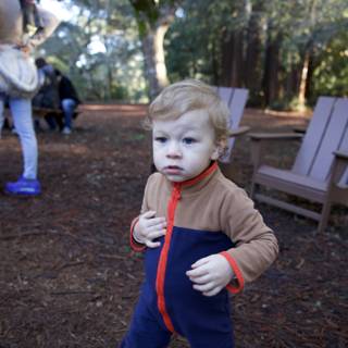 Exploring Thistlewyck: A Child's Adventure