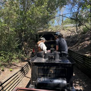 Journey Through the Woodland Railway