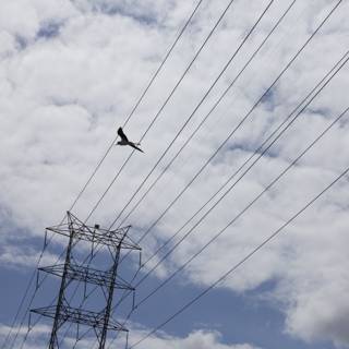 Flight over Power Lines