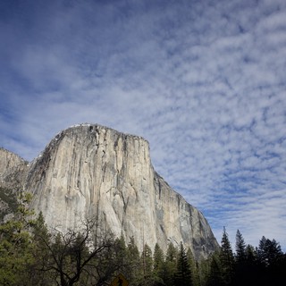 El Capitan Rising Above Yosemite Valley Forest