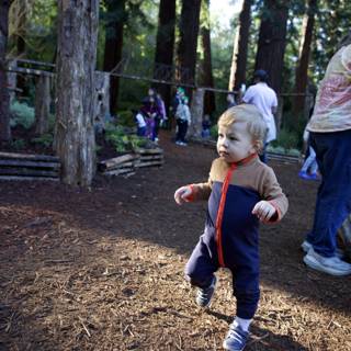 Exploring the Enchanted Grove