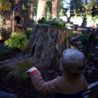 Garden or outdoor art installation