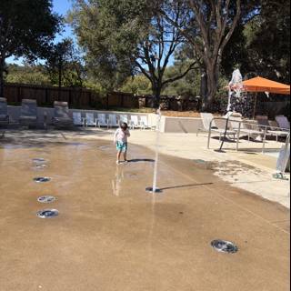 Splashes of Joy