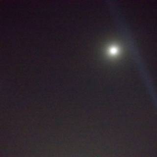 Lunar Spotlight at Coachella 2024