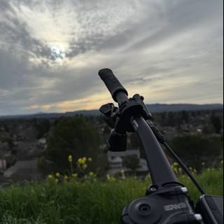 Skyward Glance at Lime Ridge